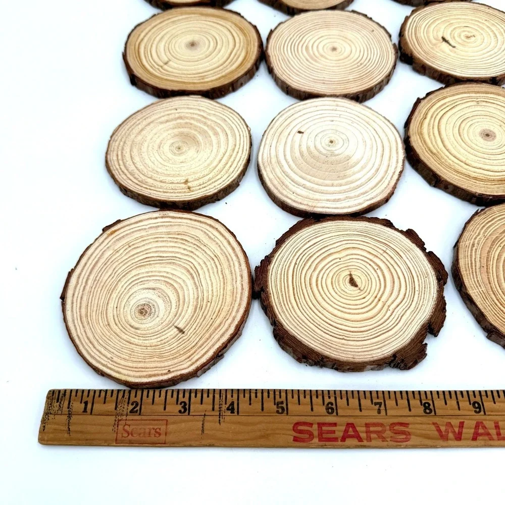 12pc Natural Pine Wood Slices 2.5-3.5 inch Unfinished Round Bark Tree Discs DIY